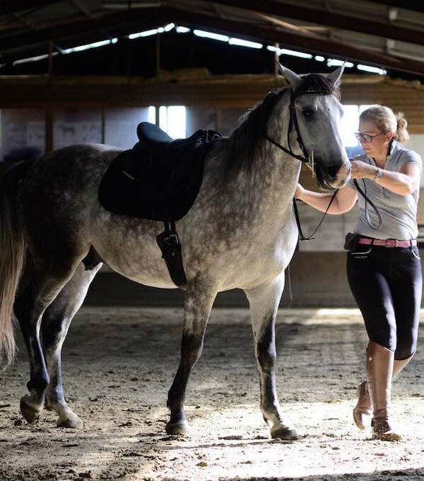 Elodie Dujardin